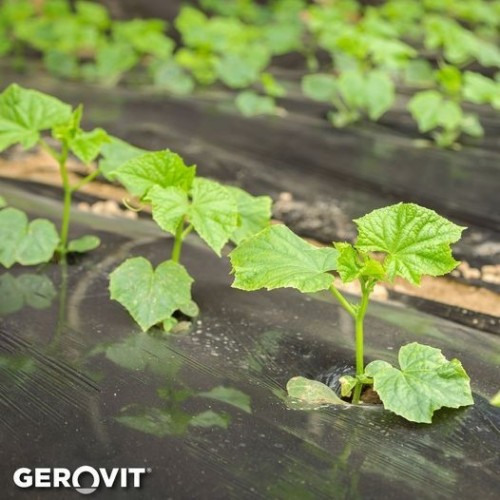 FOLIE DE MULCIRE FUMURIE - 1000 M 